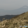 霞む富士山と街並み