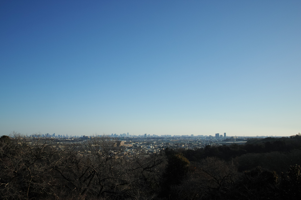2025年元日 枡形山展望台から