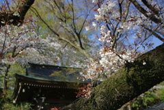 静寂の中で