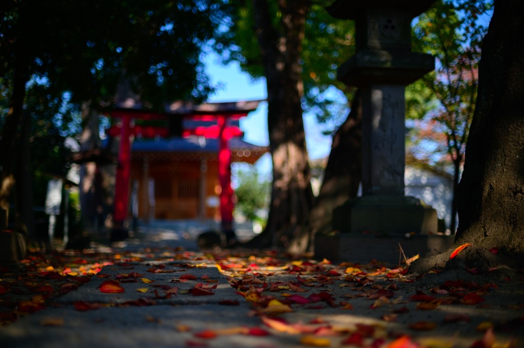 近所の神社withオールドレンズ