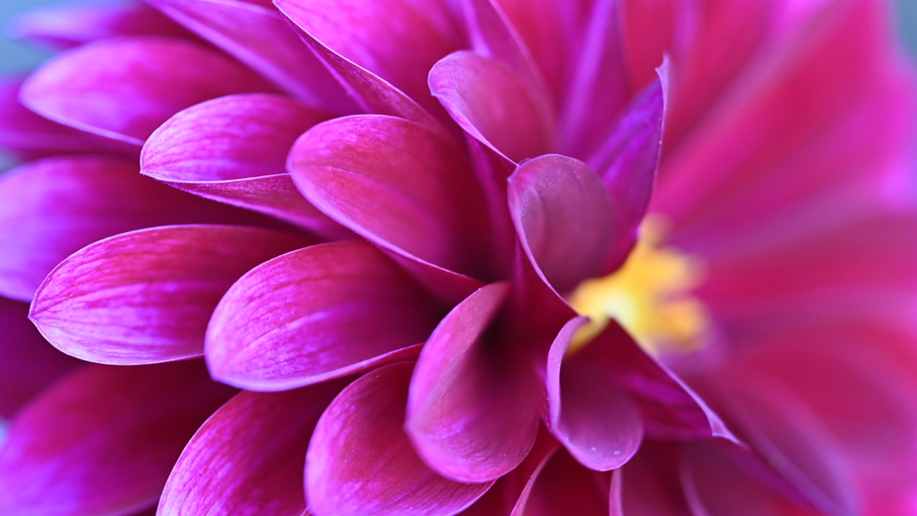 417738E5-75AD-4DD0-B3EC-6AFCA58671E2