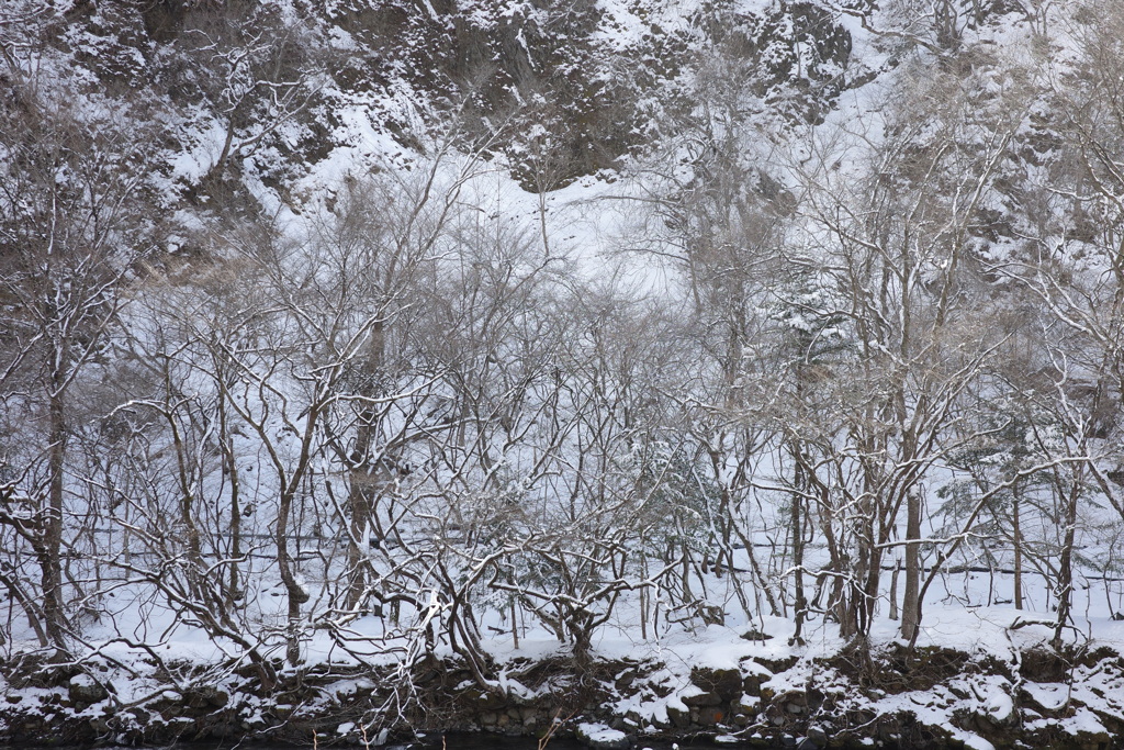 雪景色