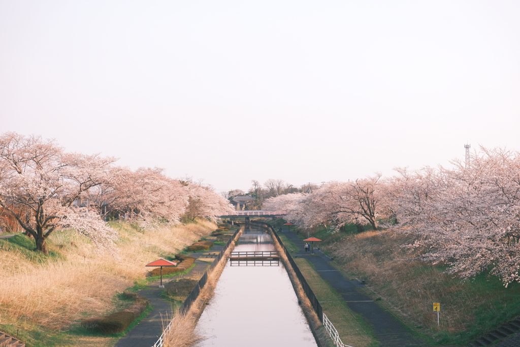 3月31日