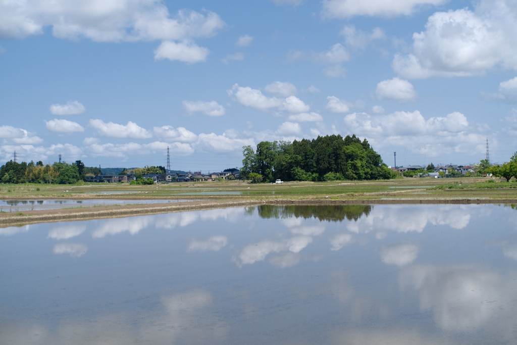 5月16日