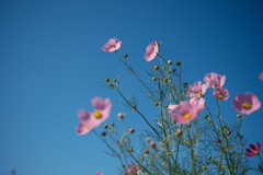 9月24日13時