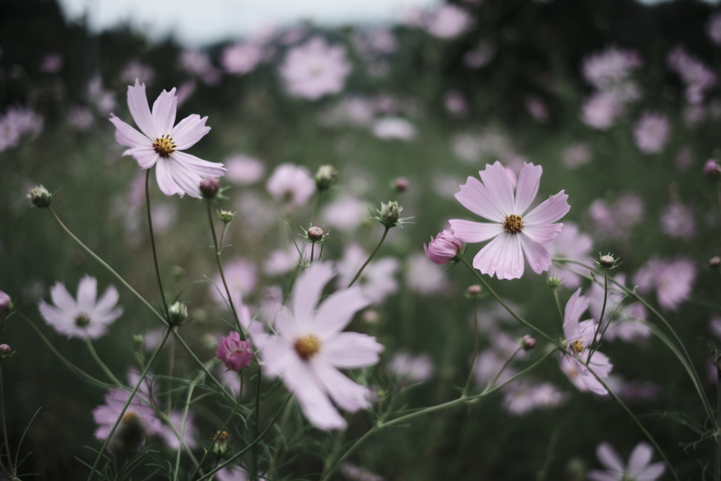 9月30日