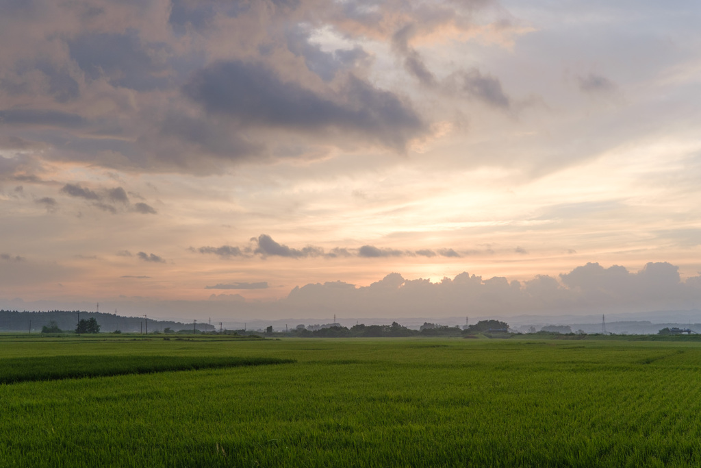 8月16日