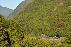 秋の土讃線