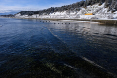穏やかな波とローカル線