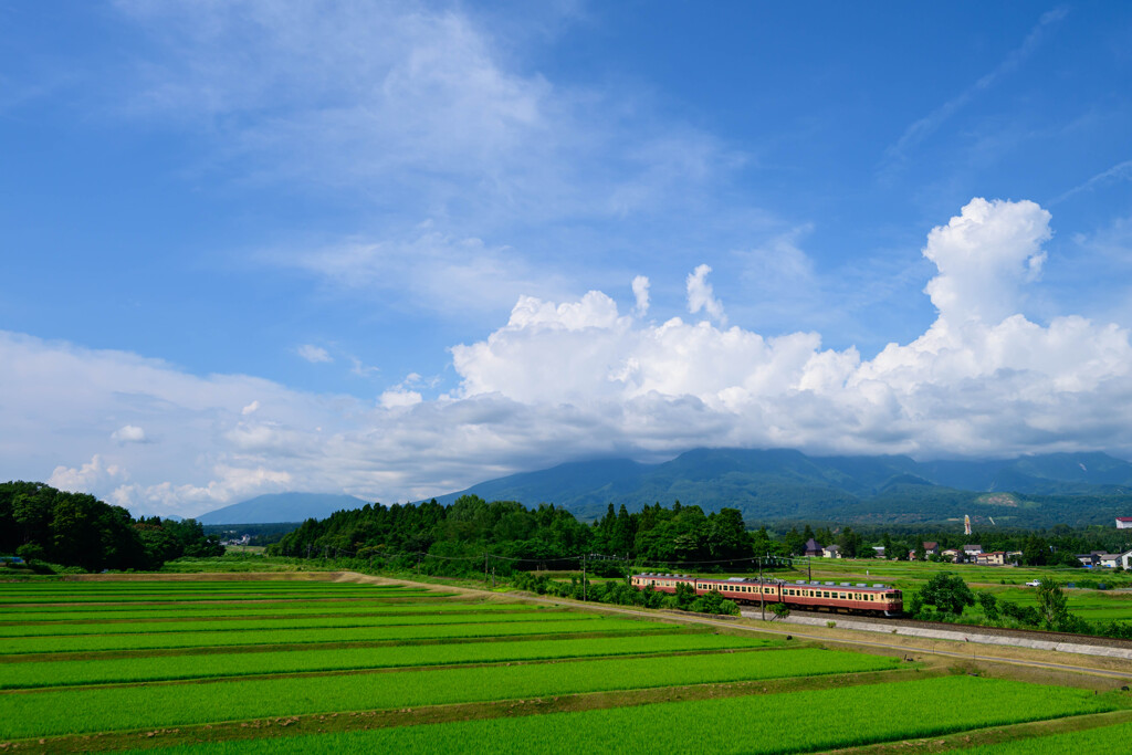 昭和の夏