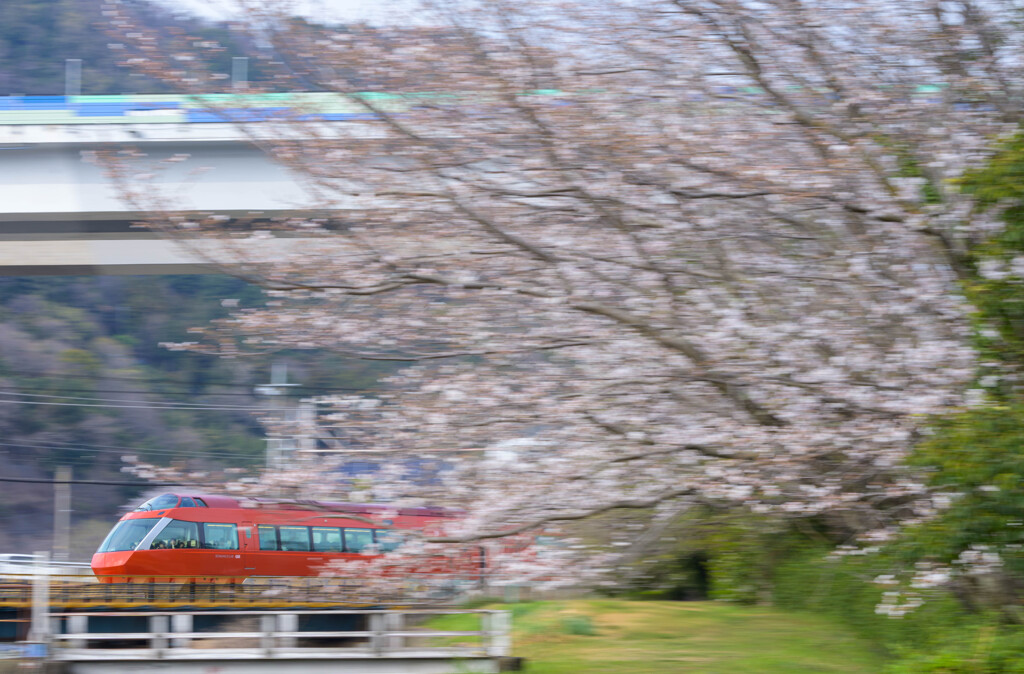 飛び出すロマンスカー