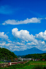 夏の大山とやくも