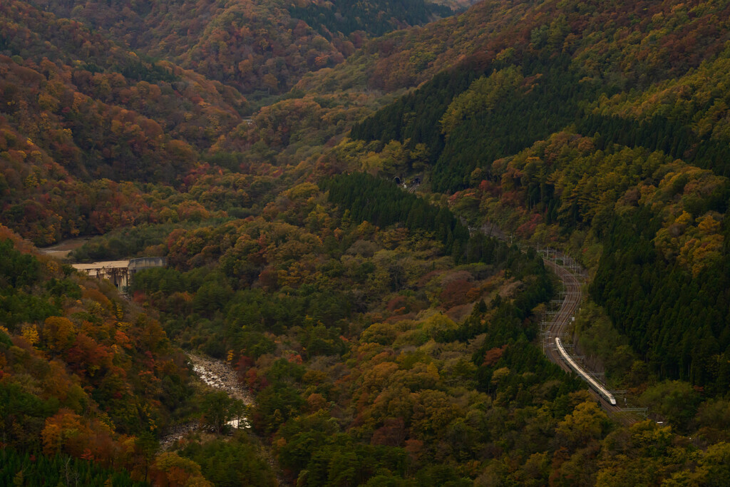 山中を走る銀のつばさ