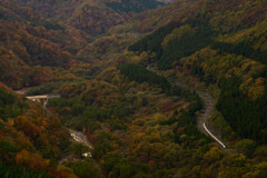 山中を走る銀のつばさ