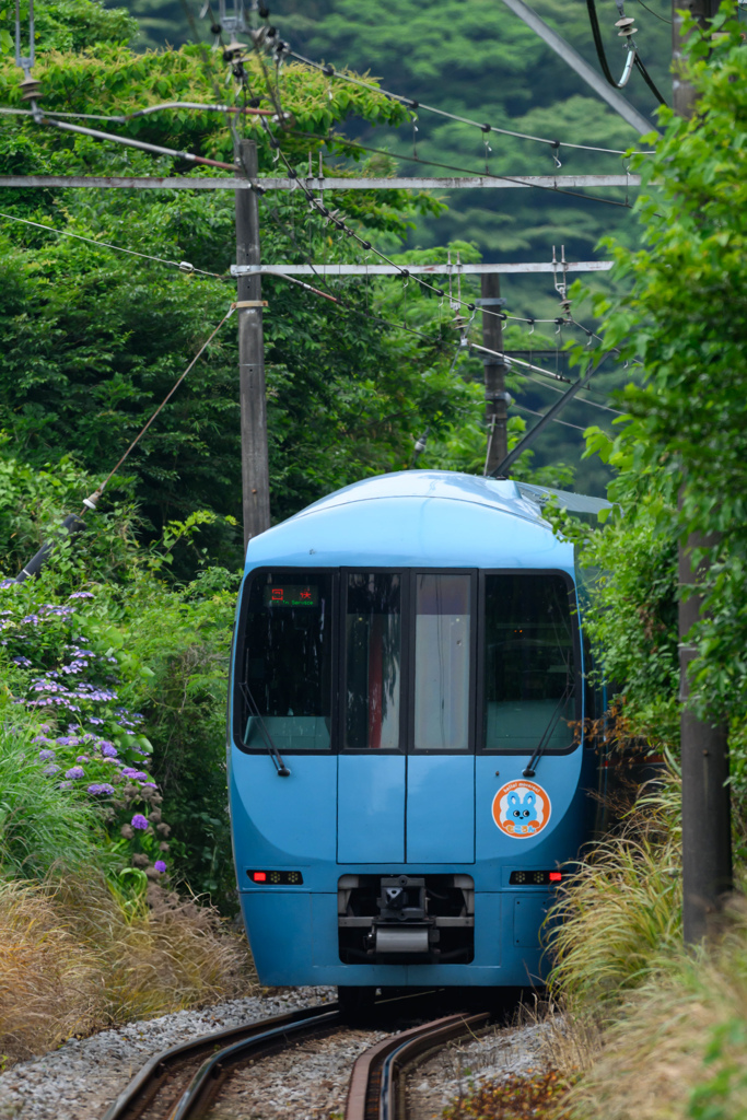 去りゆくロマンスカー
