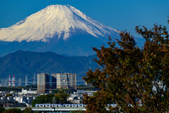 相鉄線と富士山