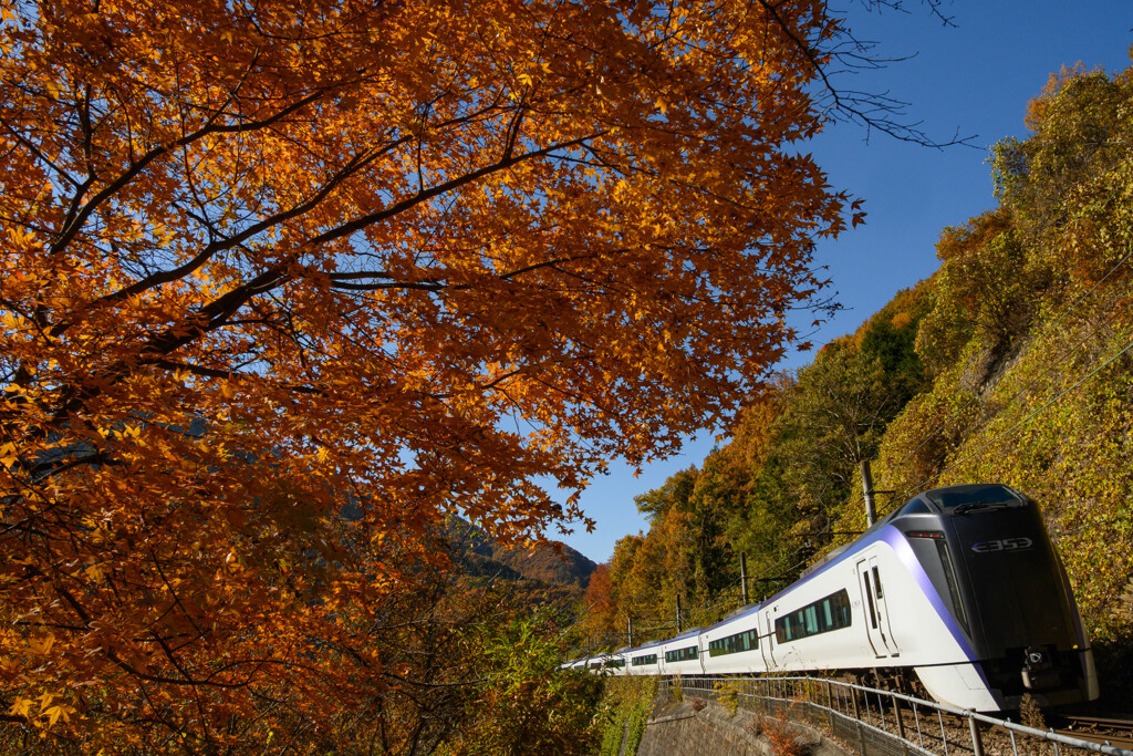 紅葉とあずさ