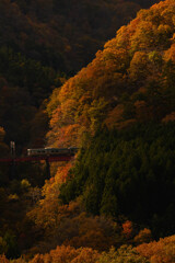 山間の紅葉と列車