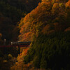 山間の紅葉と列車