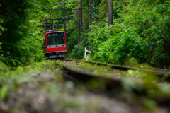 森の中を走る登山電車