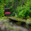 森の中を走る登山電車