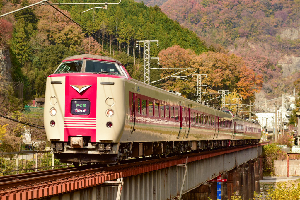 紅葉とやくも②