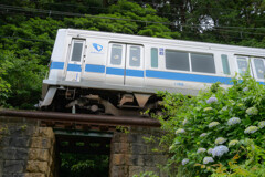 歴史ある築堤と