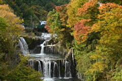 色付き始めの紅葉