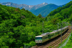谷川岳と185系