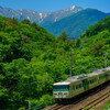 谷川岳と185系
