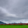 梅雨空