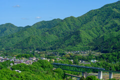 山の緑と特急列車
