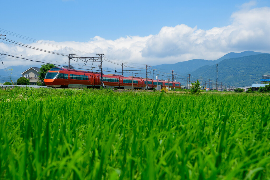 季節は夏