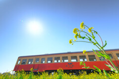 春爛漫の小湊鉄道