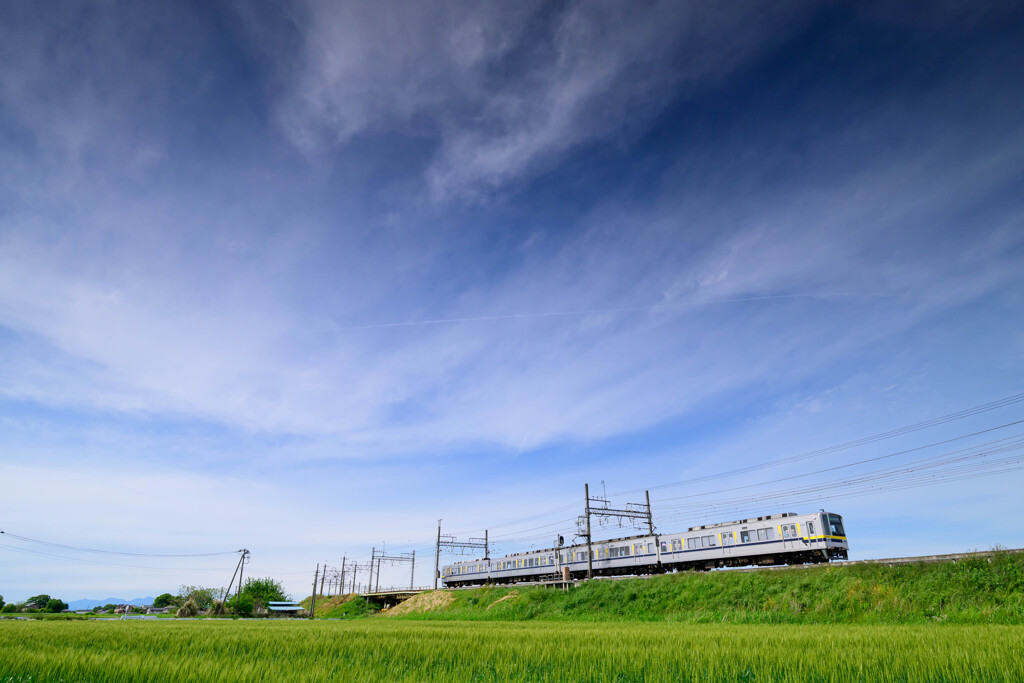 薄曇りの空と麦畑