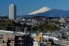 横浜からの富士山と新幹線コラボ