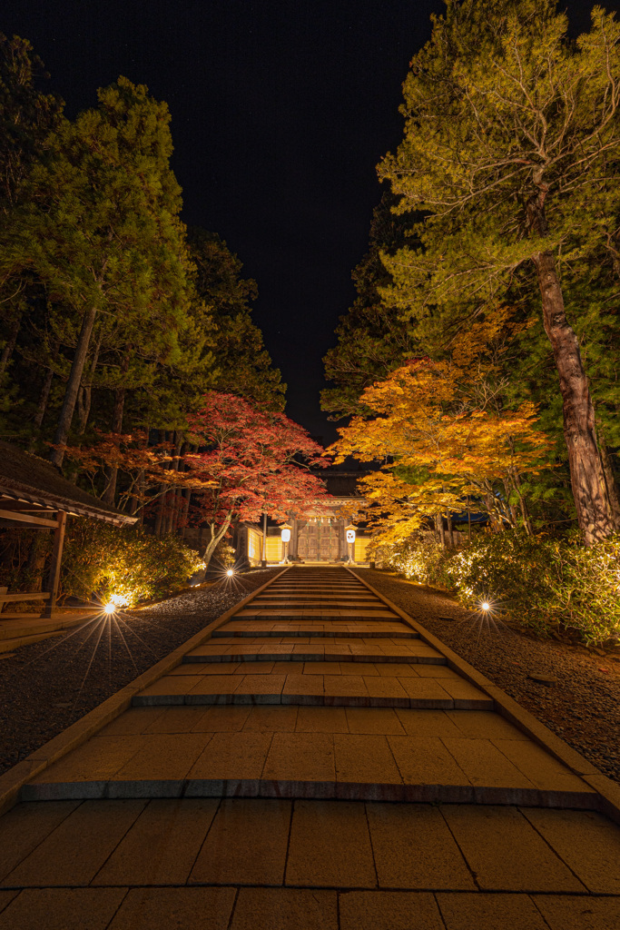 高野山