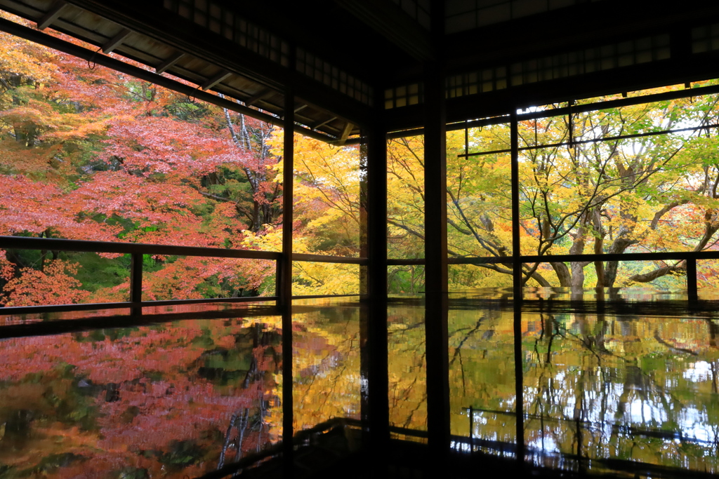 瑠璃光院 秋の特別拝観_IMG_1691-2