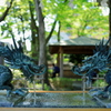 龍口の手水舎_IMG_4041-1