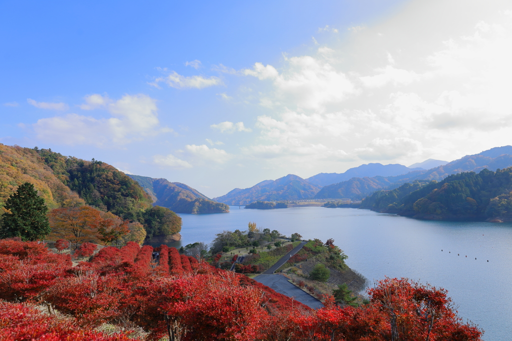 秋の宮ケ瀬湖