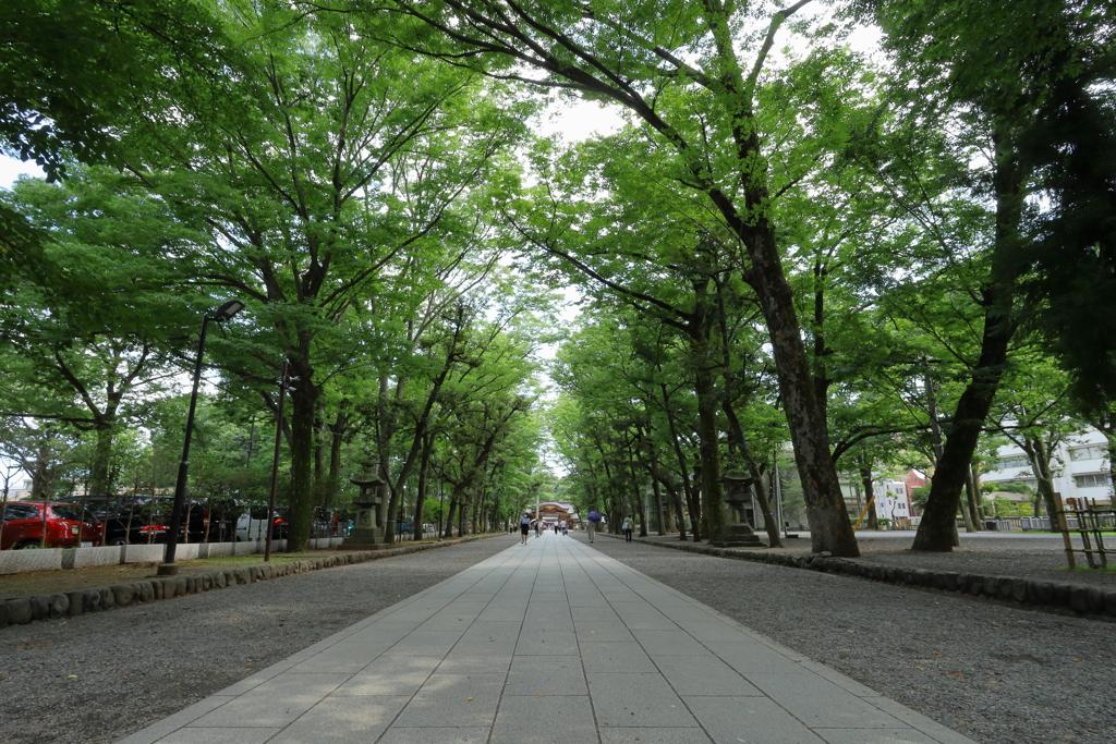 大國魂神社の参道