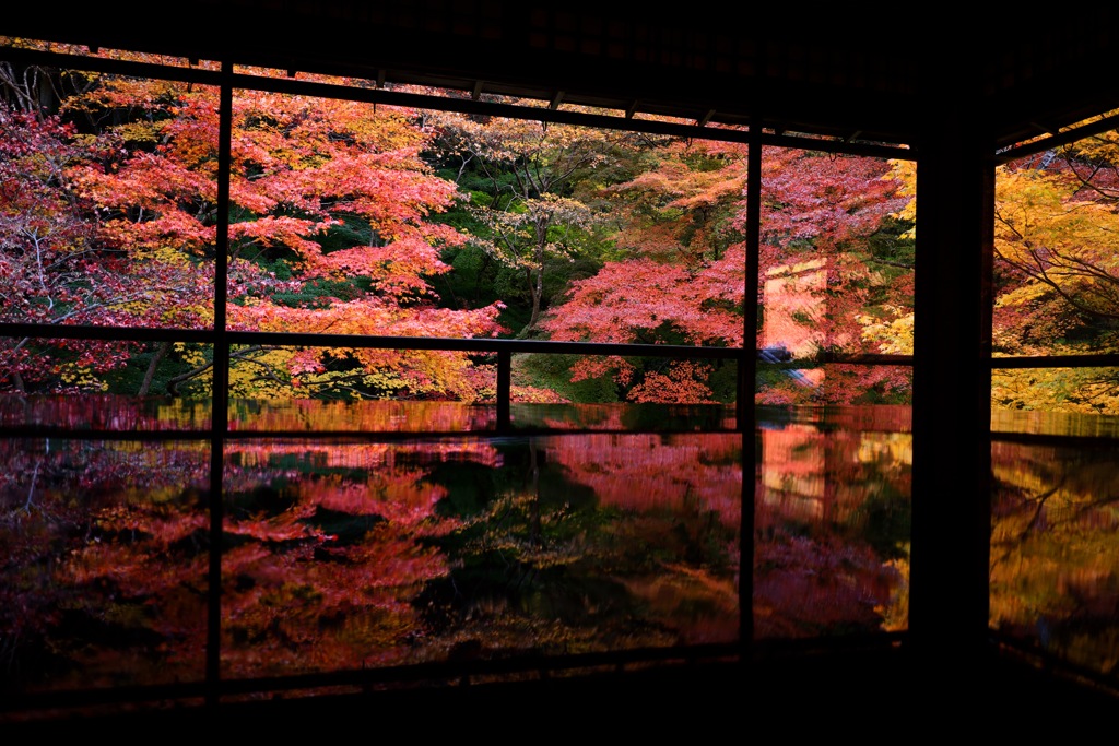 瑠璃光院_IMG_1715