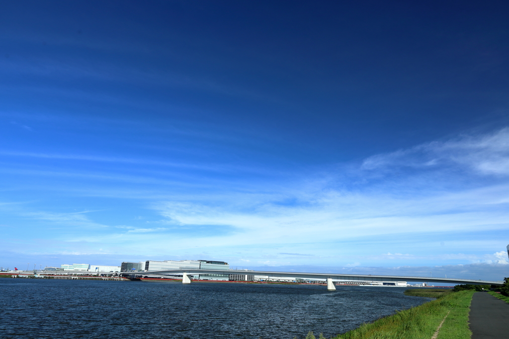 多摩川スカイブリッジ全景と青空
