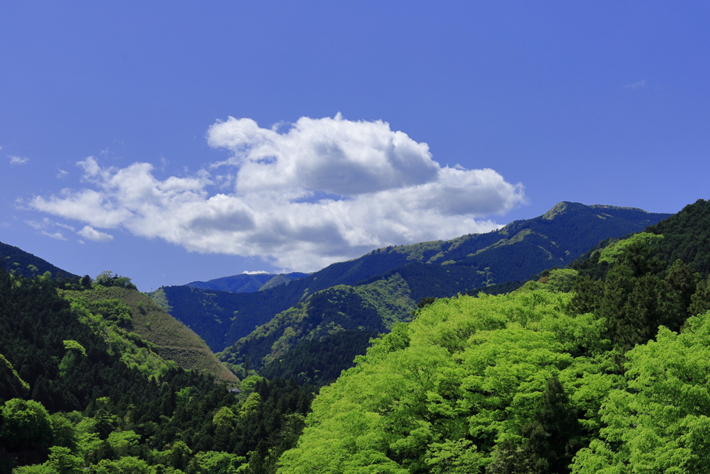 奥多摩の山並み_IMG_4197-1