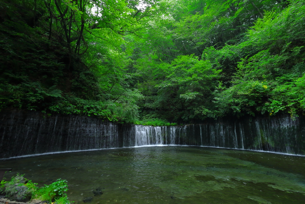 白糸の滝（正面）