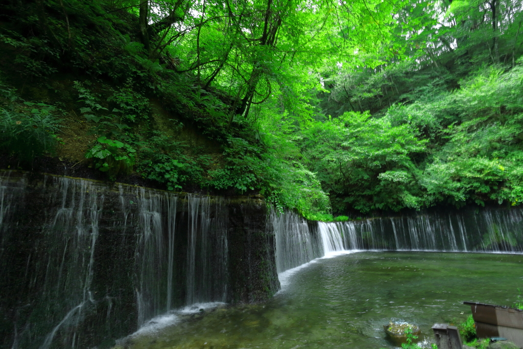 白糸の滝（左）