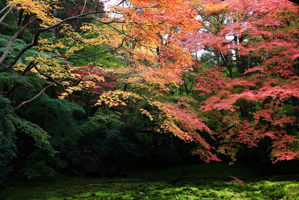 瑠璃光院_IMG_1725-2
