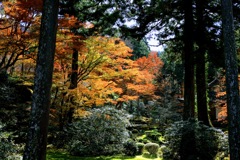 大原三千院_有清園