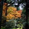 大原三千院_有清園