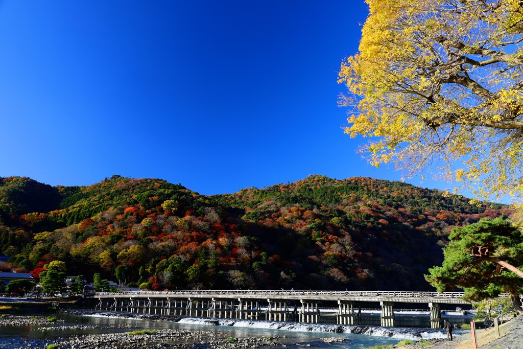 嵐山_渡月橋_IMG_1116